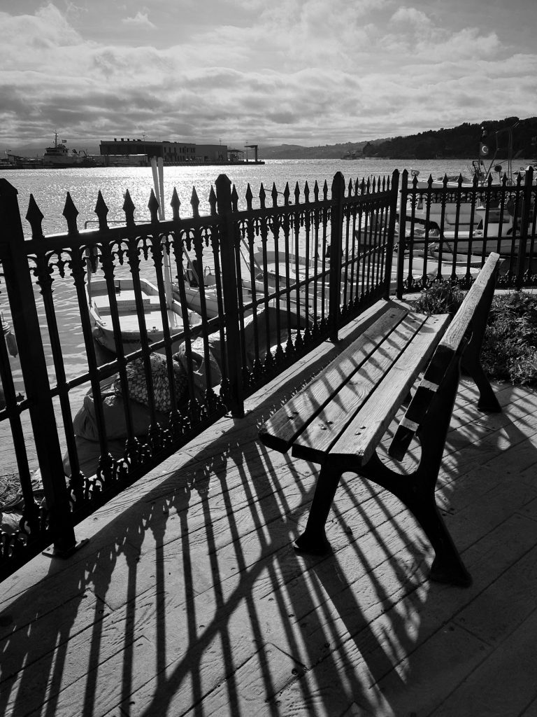 A black and white photo of a waterfront with a bench and dramatic shadows from an iron fence.